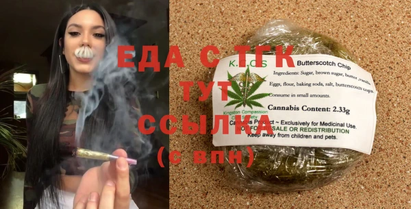 индика Краснослободск