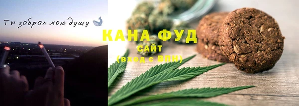 индика Краснослободск
