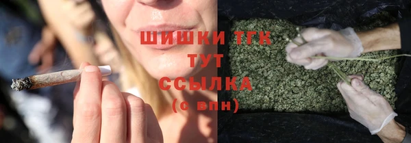 хмурый Краснослободск