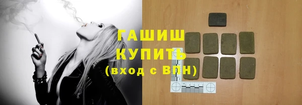 индика Краснослободск