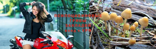 хмурый Краснослободск