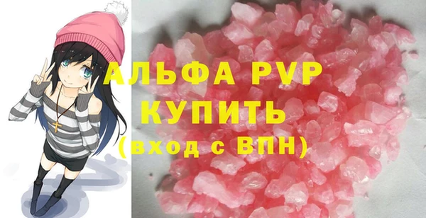 индика Краснослободск