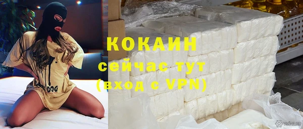 индика Красноперекопск
