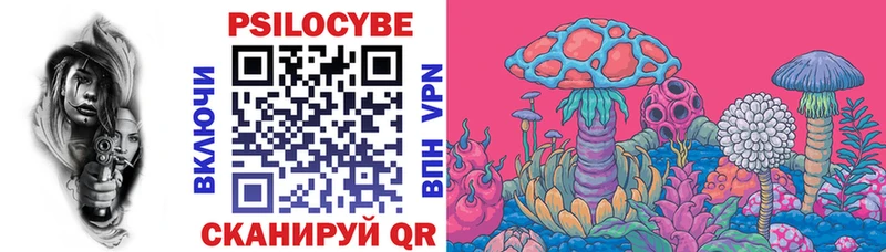 Псилоцибиновые грибы GOLDEN TEACHER  Усть-Джегута 