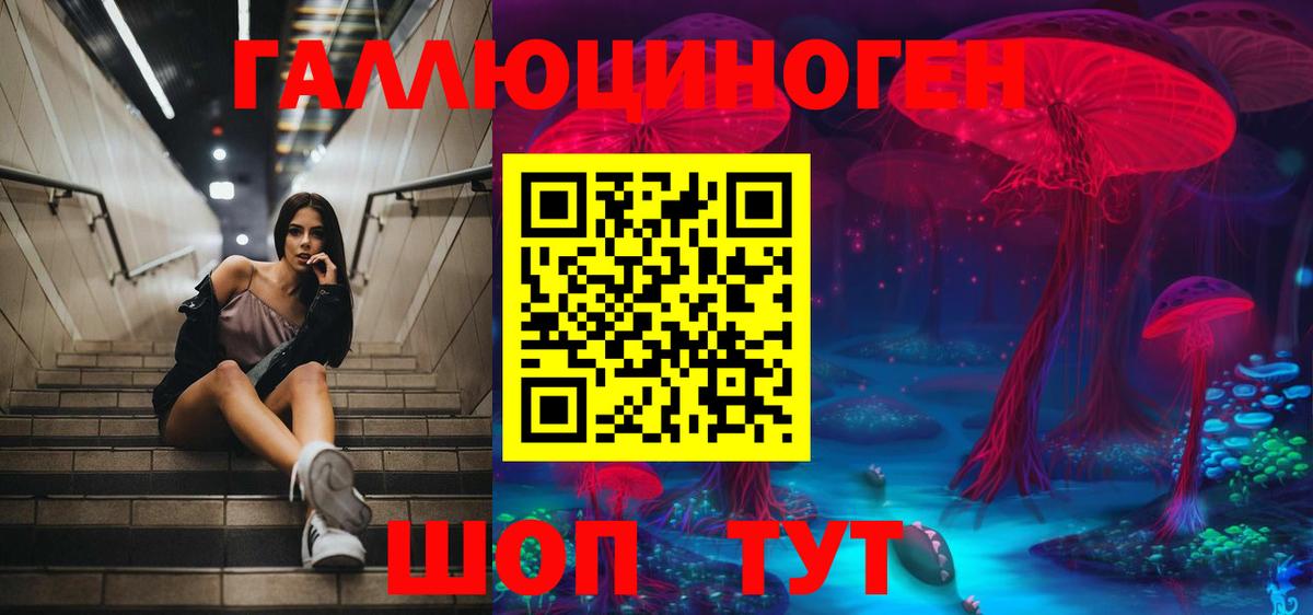 Усть-Джегута  Галлюциногенные грибы мицелий  Вход с VPN  Галлюциногенные грибы GOLDEN TEACHER 