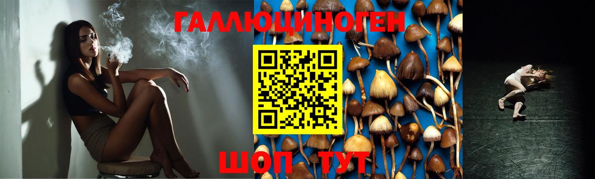 Галлюциногенные грибы GOLDEN TEACHER Усть-Джегута